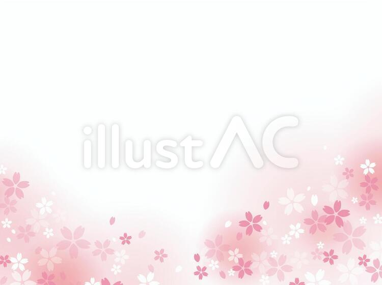 桜の花フレーム07 桜,背景,フレームのイラスト素材