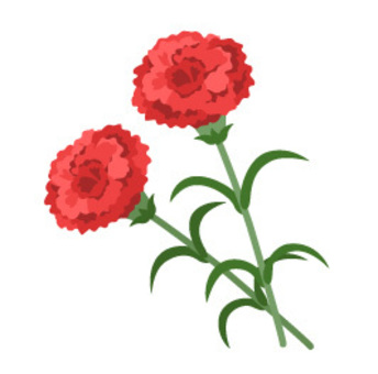 Carnation, , JPG and PNG