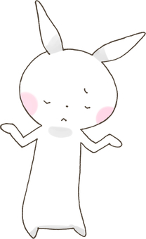 RUNRUN rabbit 129 RUNRUN rabbit 129