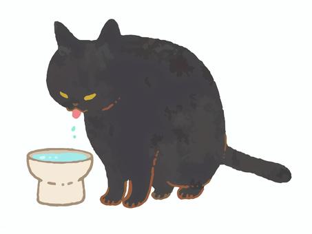 cat drinking water, , JPG, PNG and AI