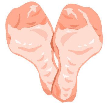 Illustration, चिकन, यू युआन हाथ, कच्चे मांस, 