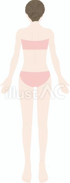bodyC　B 女性,美容,ビューティーのイラスト素材