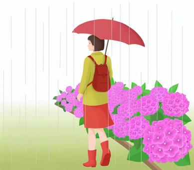 Illustration, hydrangea, umbrella, rain, 