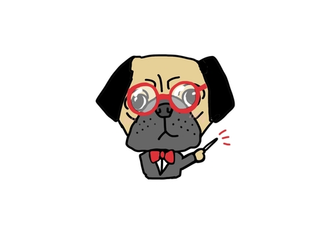 Pug, check, JPG