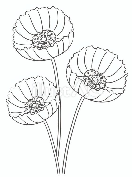 花のぬりえ 花,塗り絵,かわいいのイラスト素材
