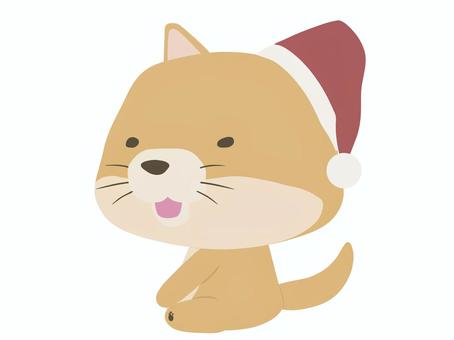 サンタ帽をかぶった笑顔の茶色い犬