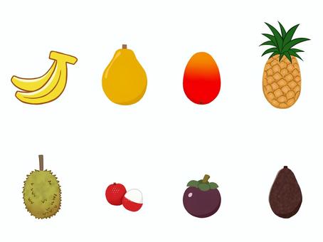 トロピカルフルーツのセット トロピカルフルーツのセット トロピカルフルーツ,バナナ,マンゴー,パパイヤ,パイナップル,ドリアン,ライチ,レイシ,マンゴスチン,アボカドのイラスト素材