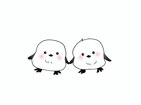 シマエナガ シマエナガ,動物,鳥,冬,雪,羽根,くちばし,かわいいのイラスト素材