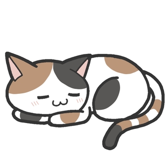 眠る猫 睡眠,猫,三毛猫,三毛,動物のイラスト素材