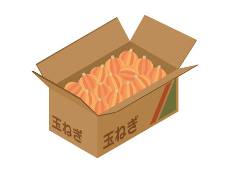 段ボールに入った玉ねぎ 玉ねぎ,たくさん,段ボール,仕送り,出荷,農家,農園,野菜,食べ物,食材のイラスト素材