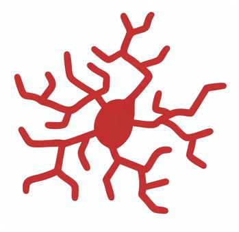 血管の症状 クモ状血管腫,血管腫,毛細血管拡張症,中心性紅斑,血管拡張,皮膚病変,皮膚疾患,毛細血管,血管,医療のイラスト素材