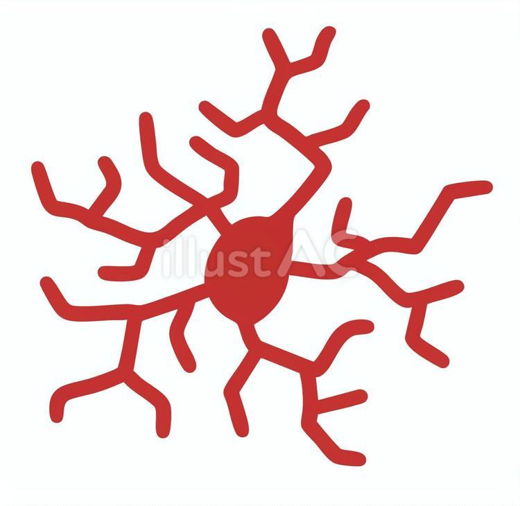血管の症状 クモ状血管腫,血管腫,毛細血管拡張症のイラスト素材