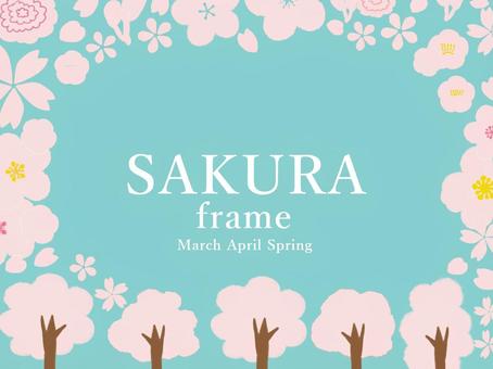 Hand-painted watercolor frame of cherry blossoms_light pink, , JPG and PNG