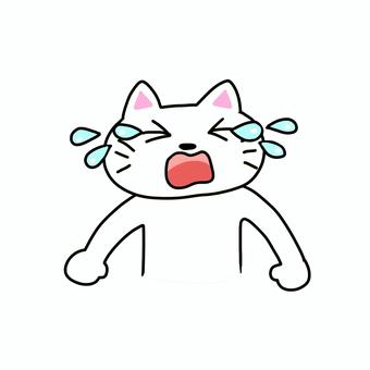 大泣きする白猫 ねこ,白猫,動物,キャラ,ポップ,かわいい,泣く,悔しい,悲しい,孤独のイラスト素材