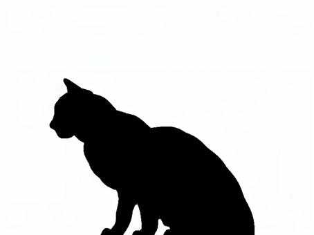 猫。。 猫,シルエット,動物,背景透過,黒猫,イラスト,素材,透過png,アイコン,ペットのイラスト素材