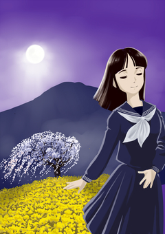 朧月夜 朧月夜,しだれ桜,菜の花,セーラー服,春,女子高校生のイラスト素材