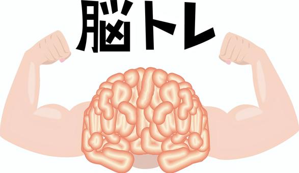 脳トレ 脳トレ,脳みそ,頭,内部,筋肉,腕,力,天才,イメージ,文字のイラスト素材