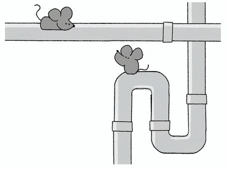 配管で遊ぶねずみ ネズミ,遊ぶ,配管,パイプ,部材,お知らせ用,宣伝用,pop調,手描き,挿絵のイラスト素材