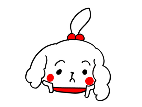 見つめてくるマルチーズ