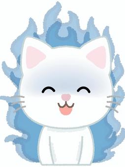 白猫秘めたる怒り ネコ,暗い,怖い,炎,白猫,動物,キャット,ペットのイラスト素材