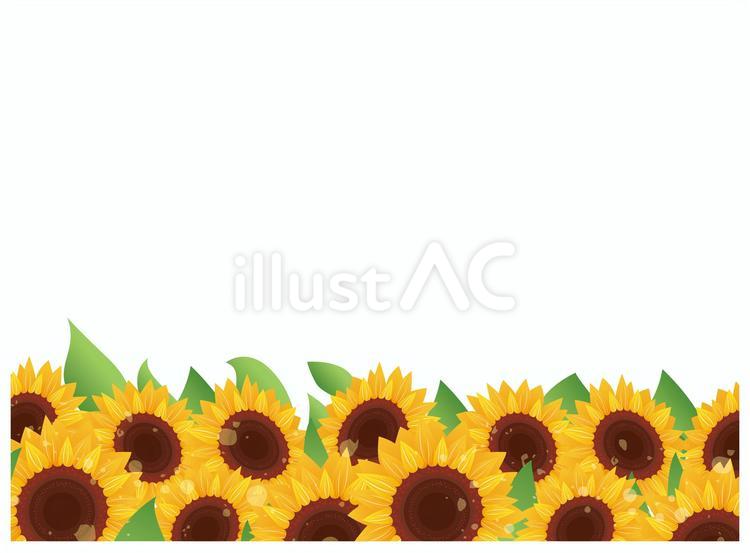 夏のひまわり風景 ひまわり,花,夏のイラスト素材