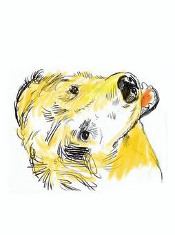 Illustration, dog, a pet, a dog, 