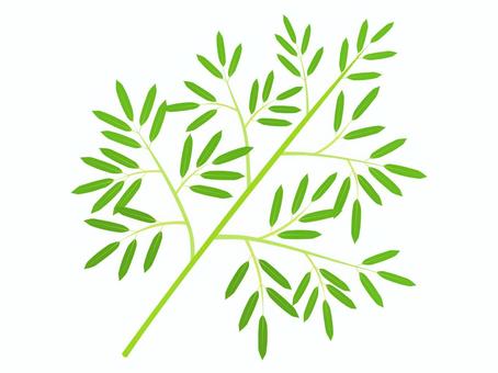 大きめの笹（単品） 笹,植物,緑,ナチュラル,シンプル,背景透過,イラストのイラスト素材