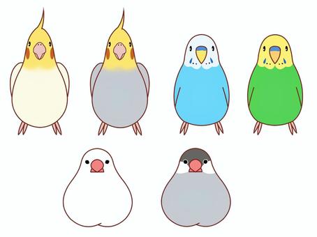 Illustration, bird, birdie, sentenced bird, 