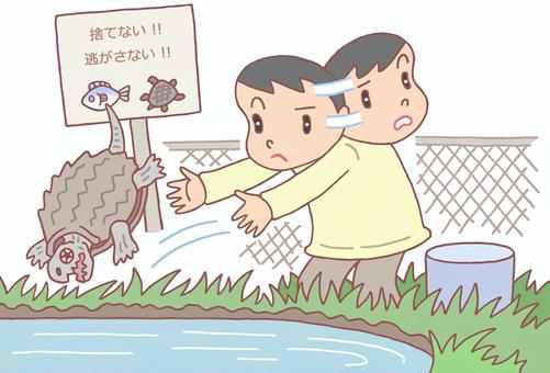 外来生物の蜜放流 外来生物,密放流,放逐,生態系破壊,飼い主,ペット,無責任,法令違反,ワニガメ,社会問題のイラスト素材