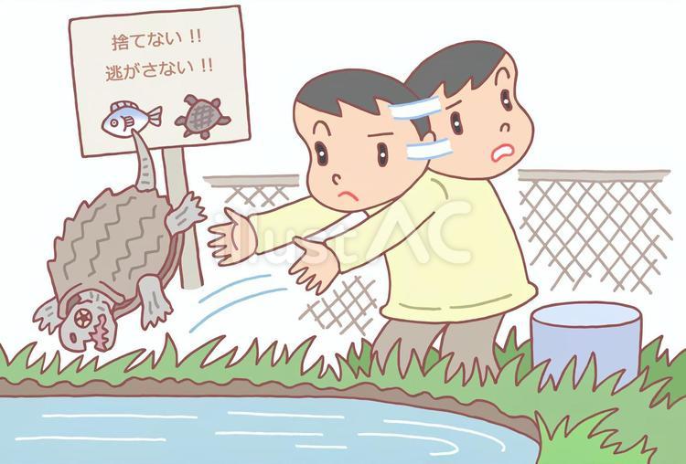 外来生物の蜜放流 外来生物,密放流,放逐のイラスト素材