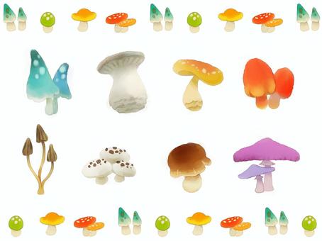 Mushrooms Various, mushroom, illustration, letter, JPG and PNG