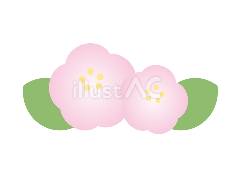 桃の花(デフォ) 桃の花,春,花のイラスト素材