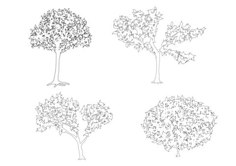 Illustration, monochrome, trees, natural, 