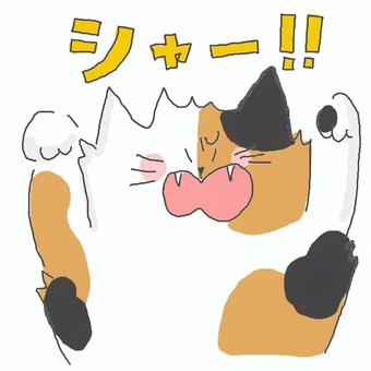 怒る三毛猫ちゃん 三毛猫,かわいい,怒る,不機嫌,不満,不服,文句,攻撃,警戒,威嚇のイラスト素材