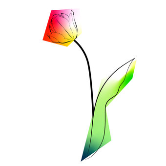 Illustration, flower, tulip, spring, JPG, PNG and AI