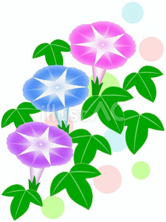朝顔のお花模様壁紙画像 朝顔,花,夏のイラスト素材
