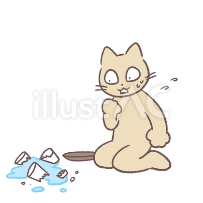 コップを割り辺りが水浸しで驚く猫