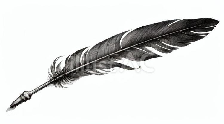 羽根ペン 羽根ペン,鳥,筆記のイラスト素材