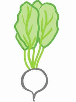 カブシンプル１ カブ,食べ物,野菜,葉,シンプル,おいしい,かわいいのイラスト素材