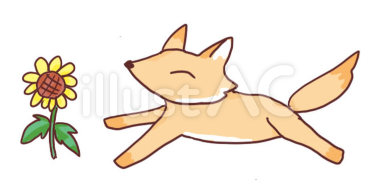 きつねとひまわり ひまわり,きつね,シンプルのイラスト素材