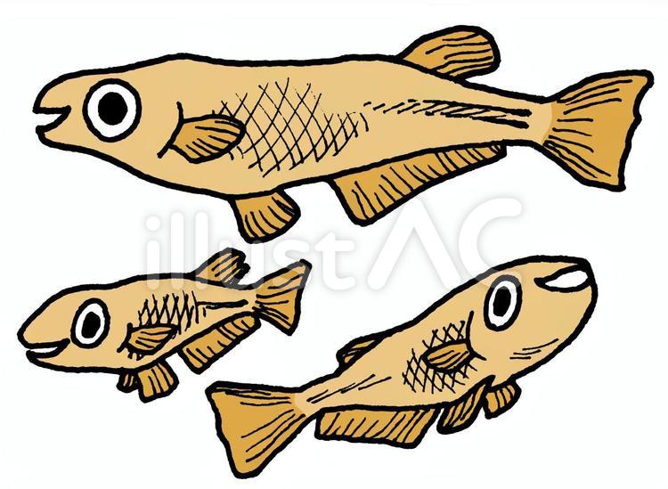 メダカイラスト No 無料イラストなら イラストac