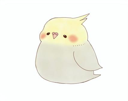 オカメインコ インコ,鳥,ペット,かわいい,ゆるい,黄色,オカメインコ,手書きのイラスト素材