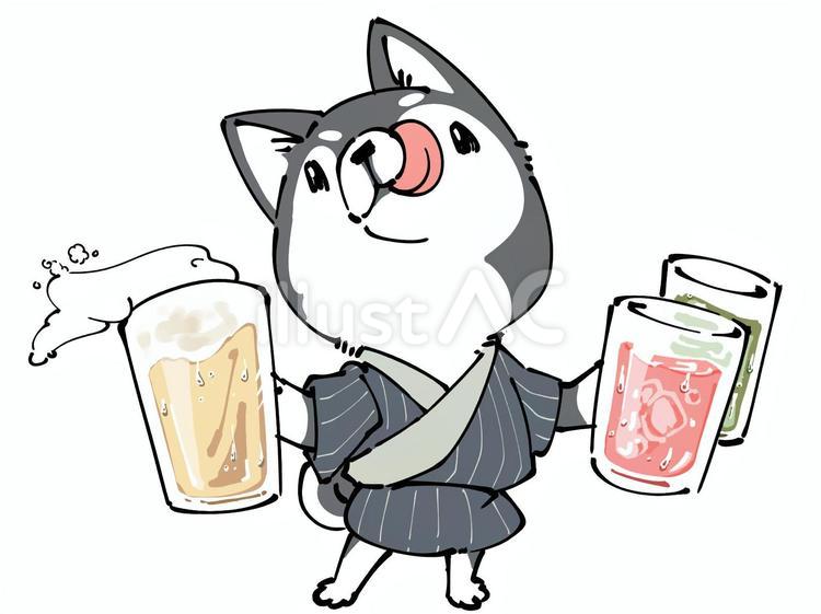 居酒屋の柴犬(黒) 柴犬,日本犬,黒柴のイラスト素材