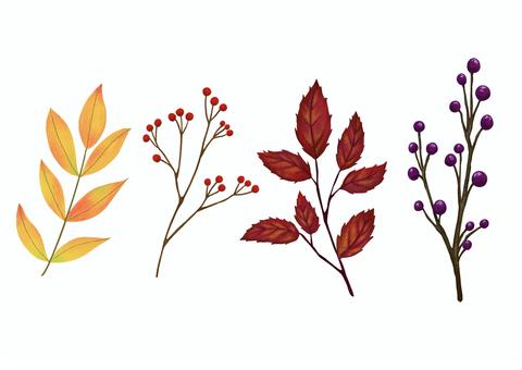 Illustration, otoño, planta, hoja, 