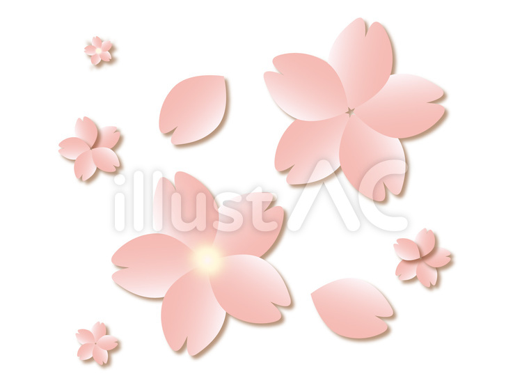 桜(陰影有り） 春色,桜の花,桜色のイラスト素材