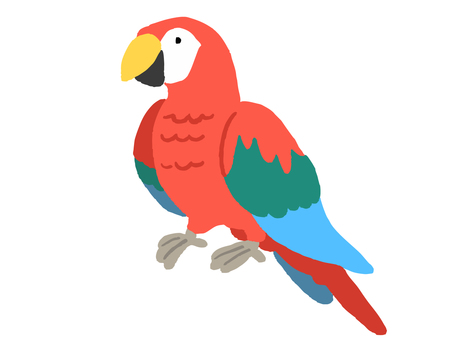 オウムのイラスト