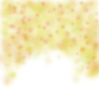 秋の木の実のグラデーション