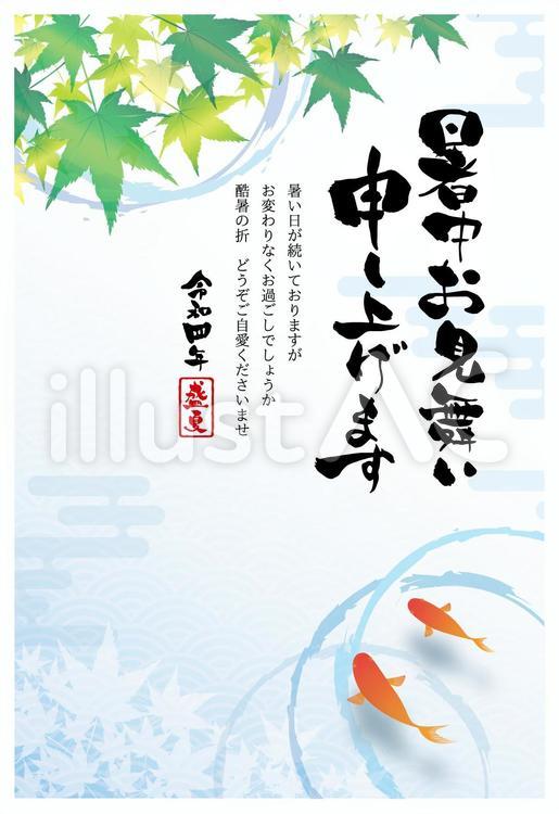 令和四年暑中見舞いはがき金魚と青紅葉　縦 暑中見舞い,はがき,金魚のイラスト素材