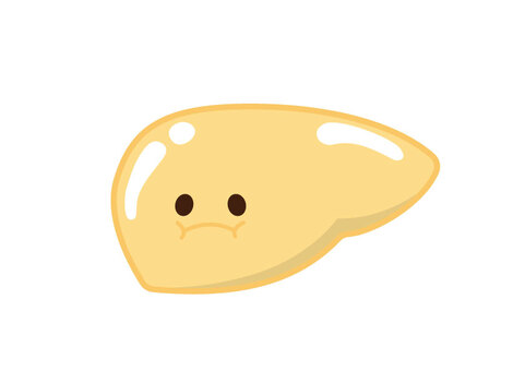 脂肪肝 肝臓,臓器,脂肪,黄色,かわいい,脂肪肝のイラスト素材