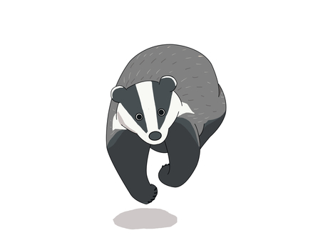 ヨーロッパアナグマ（走る） ヨーロッパアナグマ,アナグマ,動物,ヨーロッパ,走るのイラスト素材